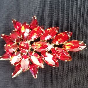 AUTHENTIC TAMMY BROACH